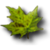 dock leaf